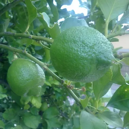 31 Posti Con Cucina E Parcheggio Privato Gratuito *