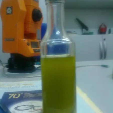 31 Posti Con Cucina E Parcheggio Privato Gratuito Apartman *