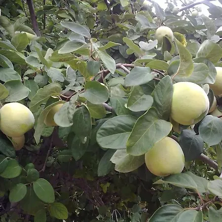 31 Posti Con Cucina E Parcheggio Privato Gratuito