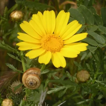 31 Posti Con Cucina E Parcheggio Privato Gratuito Lejlighed