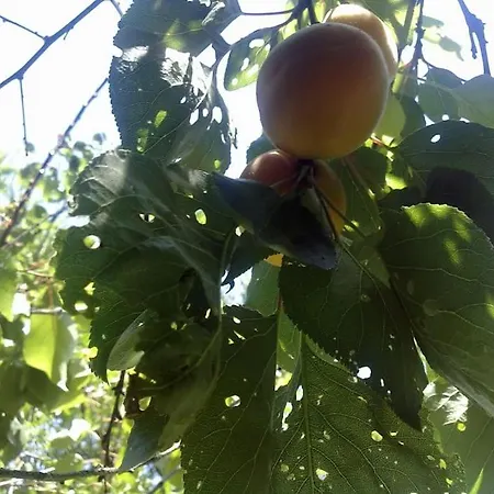 31 Posti Con Cucina E Parcheggio Privato Gratuito