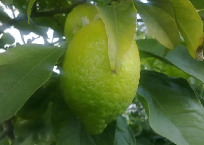 31 Posti Con Cucina E Parcheggio Privato Gratuito