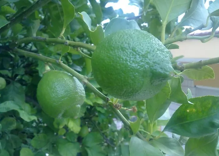 31 Posti Con Cucina E Parcheggio Privato Gratuito *