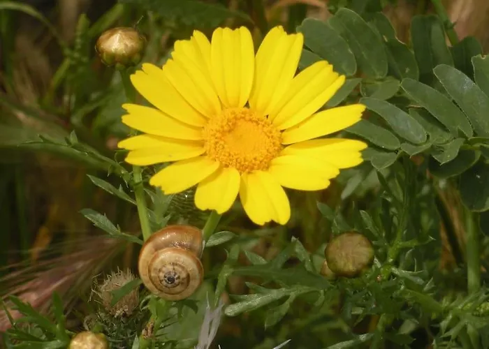 31 Posti Con Cucina E Parcheggio Privato Gratuito Daire