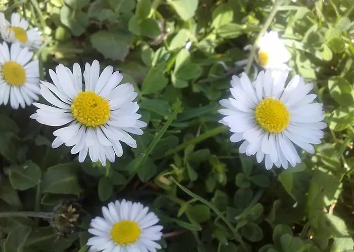 31 Posti Con Cucina E Parcheggio Privato Gratuito 公寓 坎德拉