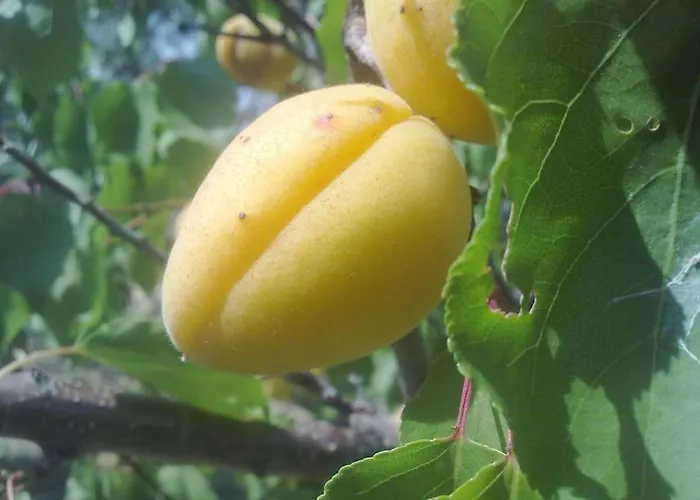 31 Posti Con Cucina E Parcheggio Privato Gratuito * Candela