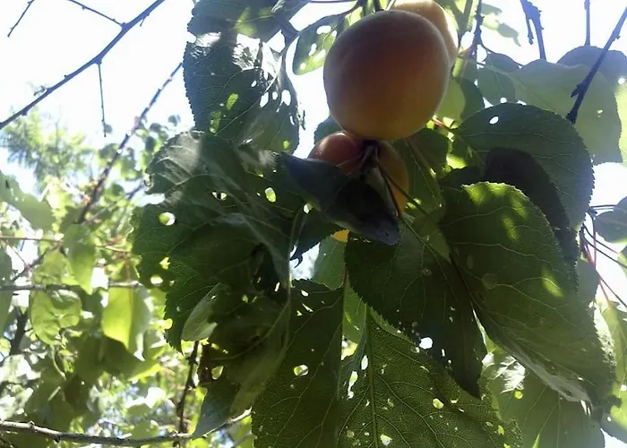 31 Posti Con Cucina E Parcheggio Privato Gratuito