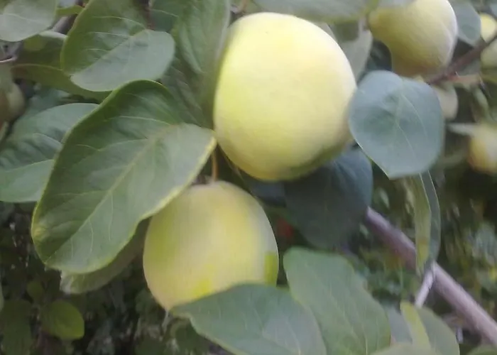 31 Posti Con Cucina E Parcheggio Privato Gratuito * Candela