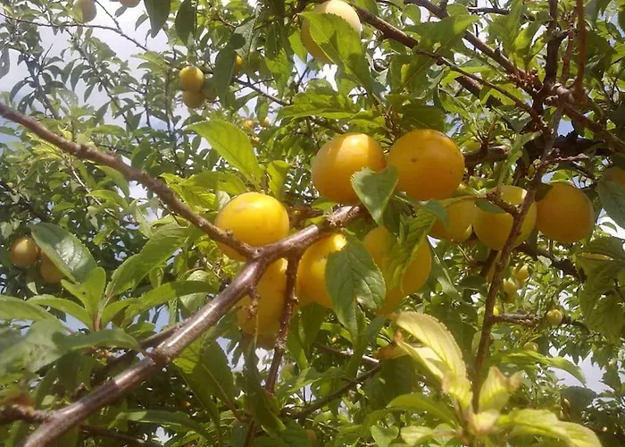 31 Posti Con Cucina E Parcheggio Privato Gratuito 公寓 坎德拉