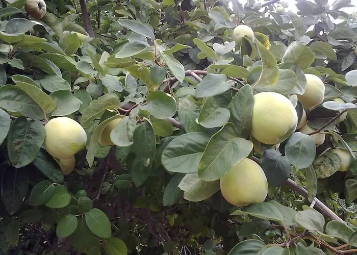 31 Posti Con Cucina E Parcheggio Privato Gratuito